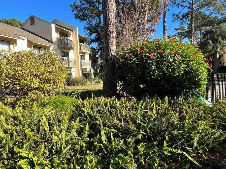 Spacious, Cozy Villa W/Parking In Coligny Villas ヒルトンヘッドアイランド エクステリア 写真