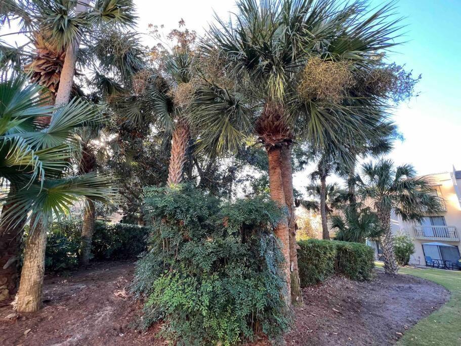 Spacious, Cozy Villa W/Parking In Coligny Villas ヒルトンヘッドアイランド エクステリア 写真